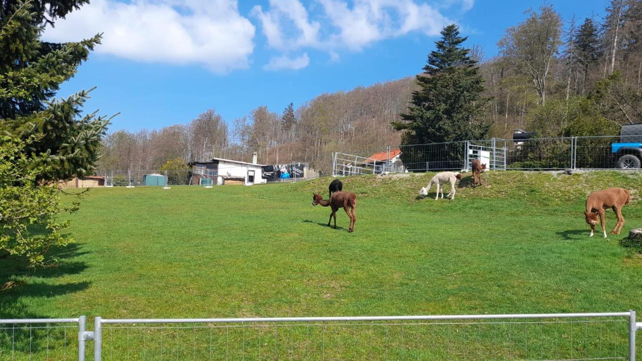 Bergpanorama Ruhla Daire Dış mekan fotoğraf